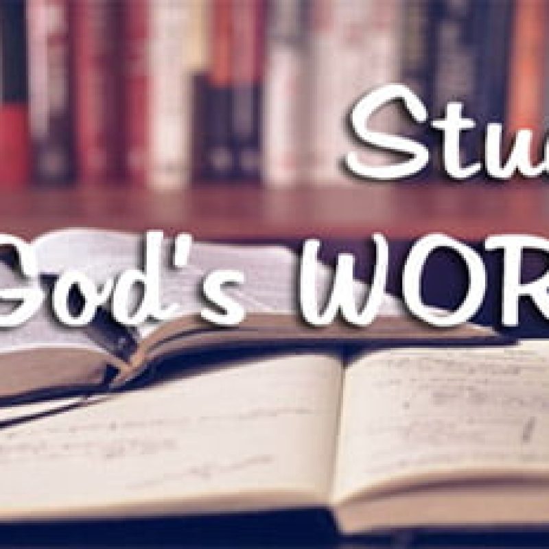 Study God's Word-image